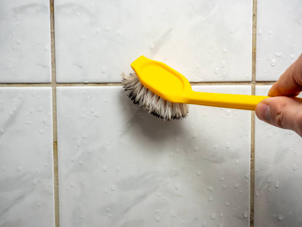 Best Mold Remediation  in Cahokia, IL