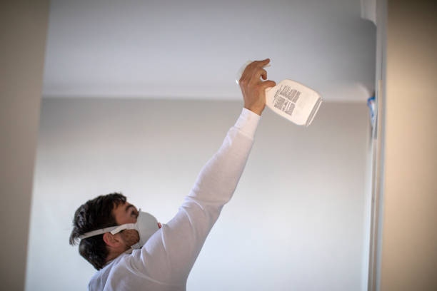 Best Local Mold Removal Service  in Cahokia, IL