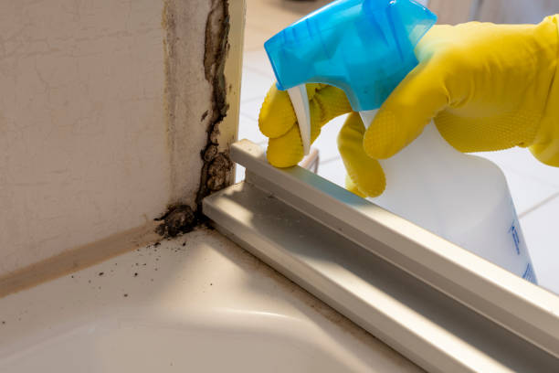 Best Residential Mold Removal  in Cahokia, IL