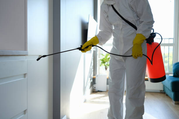 Best Mold Remediation  in Cahokia, IL