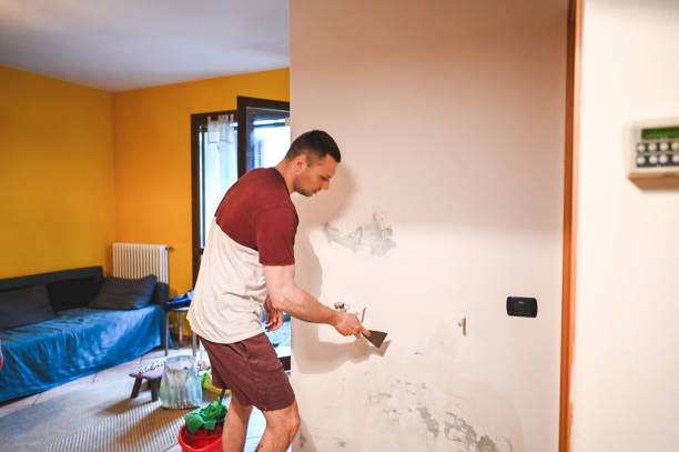 Home Mold Removal in Cahokia, IL