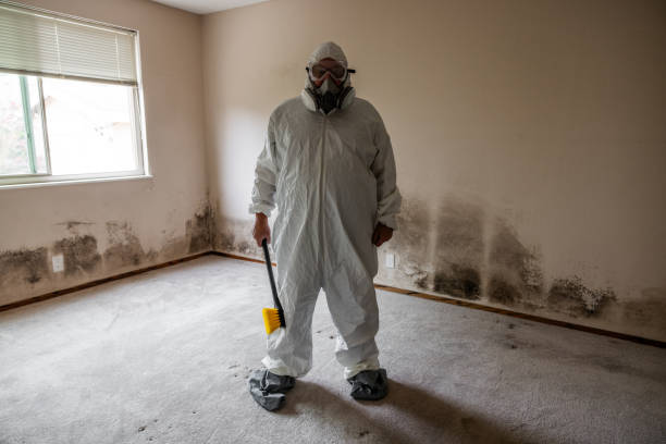 Crawl Space Mold Removal in Cahokia, IL